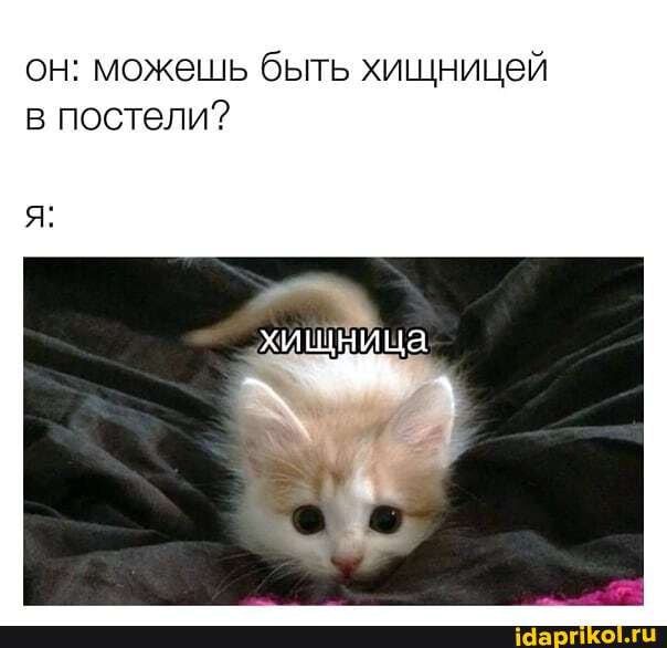 он: можешь быть хищницей постели?