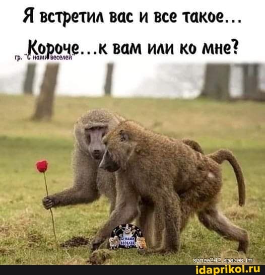 Я встретил вас и все такое...
"Короче. .к вам или ко мне?