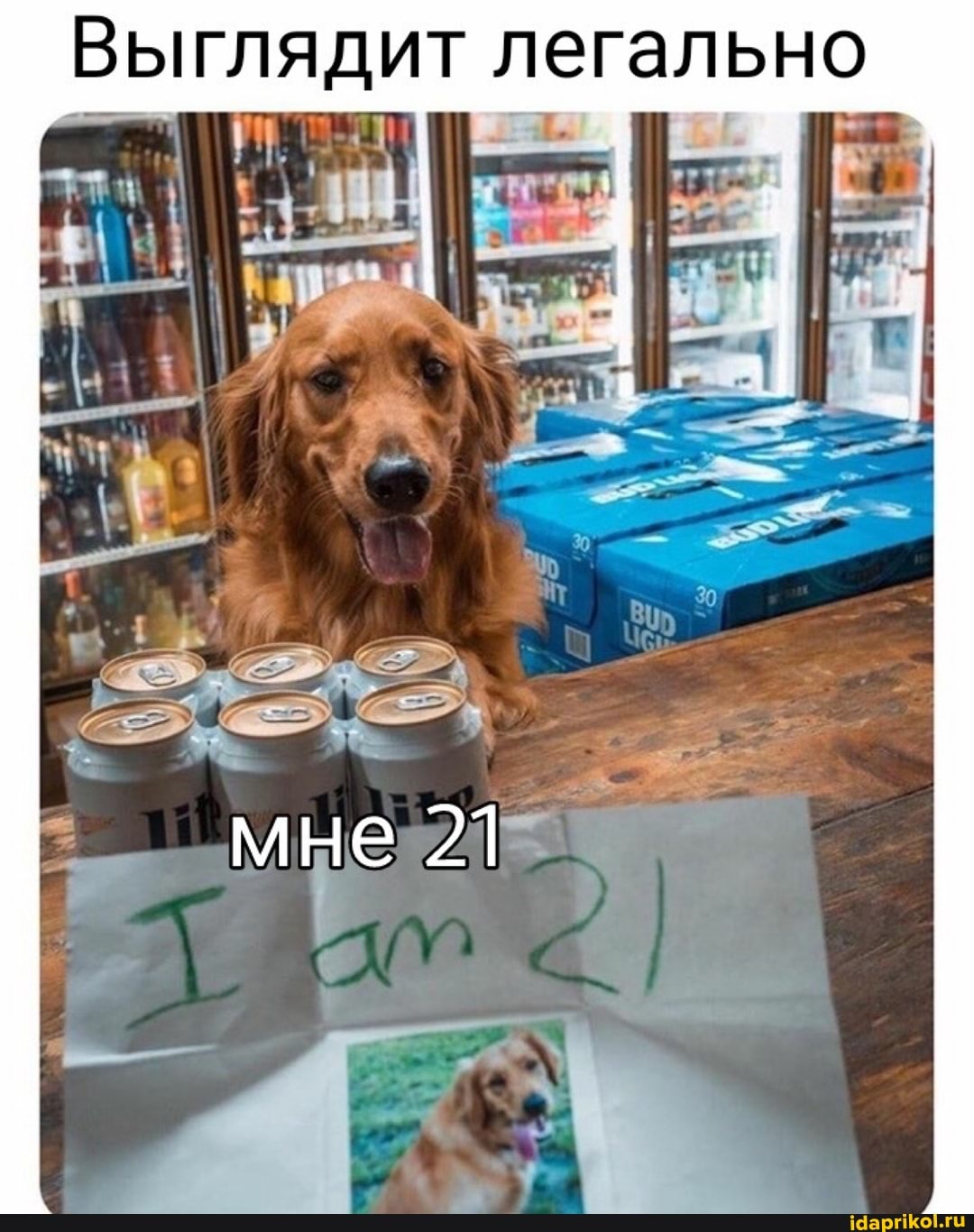 Выглядит легально