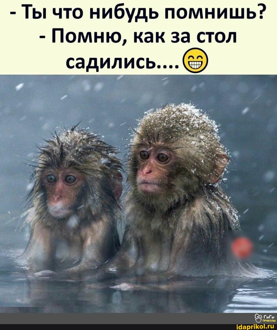 - Ты что нибудь помнишь?
- Помню, как за стол
садились...