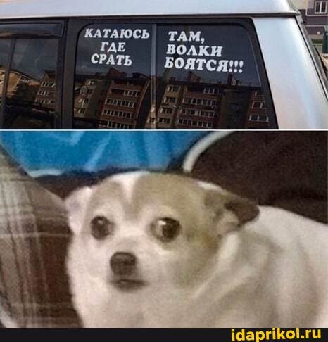 КАТАЮСЬ ТАМ,
ГДЕ волки
СРАТЬ I БОЯТСЯ!!!