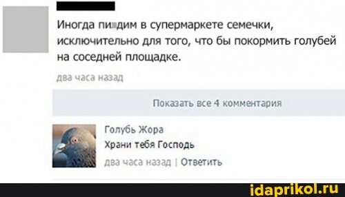 Иногда пиздим в супермаркете семечки, исключительно для того, что бы покормить голубей на соседней площадке.
Показать все 4 комментария
Голубь Жора
Храни тебя Господь назад I Ответить.