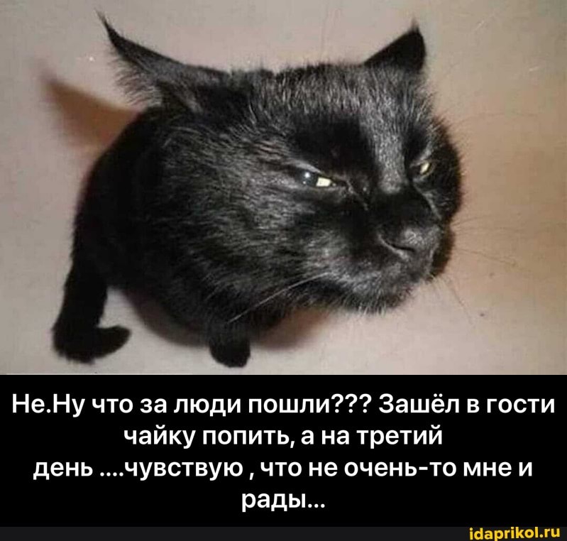 Не.Ну что за люди пошли??? Зашёл в гости чайку попить, а на третий день ...чувствую что не очень-то мнеи рады... - Не.Ну что за люди пошли??? Зашёл в гости чайку попить, а на третий день ....чувствую , что не очень-то мне и рады...