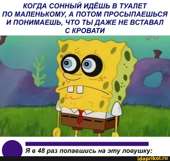 КОГДА СОННЫЙ ИДЁШЬ В ТУАЛЕТ ПО МАЛЕНЬКОМУ, А ПОТОМ ПРОСЫПАЕШЬСЯ И ПОНИМАЕШЬ, ЧТО ТЫ ДАЖЕ НЕ ВСТАВАЛ С КРОВАТИ
Яв 48 раз попавшись на эту ловушку: