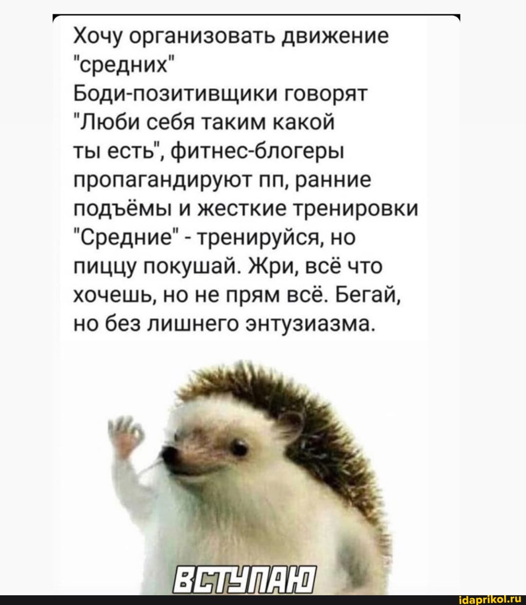 у ьььуыыыаы".
Хочу организовать движение
"средних"
Боди-позитивщики говорят
"Люби себя таким какой
ты есть", фитнес-блогеры пропагандируют пп, ранние подЪёмы и жесткие тренировки
"Средние" - тренируйся, но пиццу покушай. Жри, всё что хочешь, но не прям всё. Бегай, но без лишнего энтузиазма.