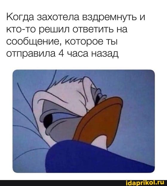 Когда захотела вздремнуть и кто-то решил ответить на сообщение, которое ты отправила 4 часа назад