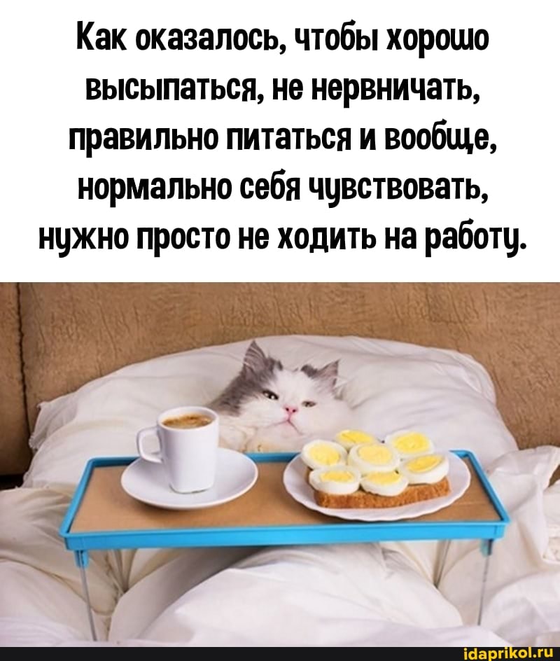 Как оказалось, чтобы хорошо высыпаться, не нервничать, правильно питаться и вообще, нормально себя чувствовать, нужно просто не ходить на работу.