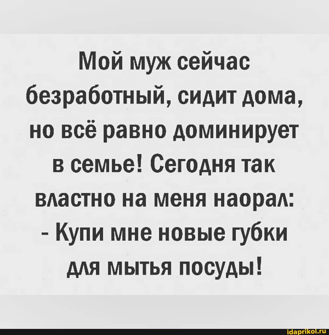 Мой муж сейчас безработный, сидит дома, но всё равно доминирует
в семье! Сегодня так властно на меня наорал:
- Купи мне новые губки для мытья посуды!