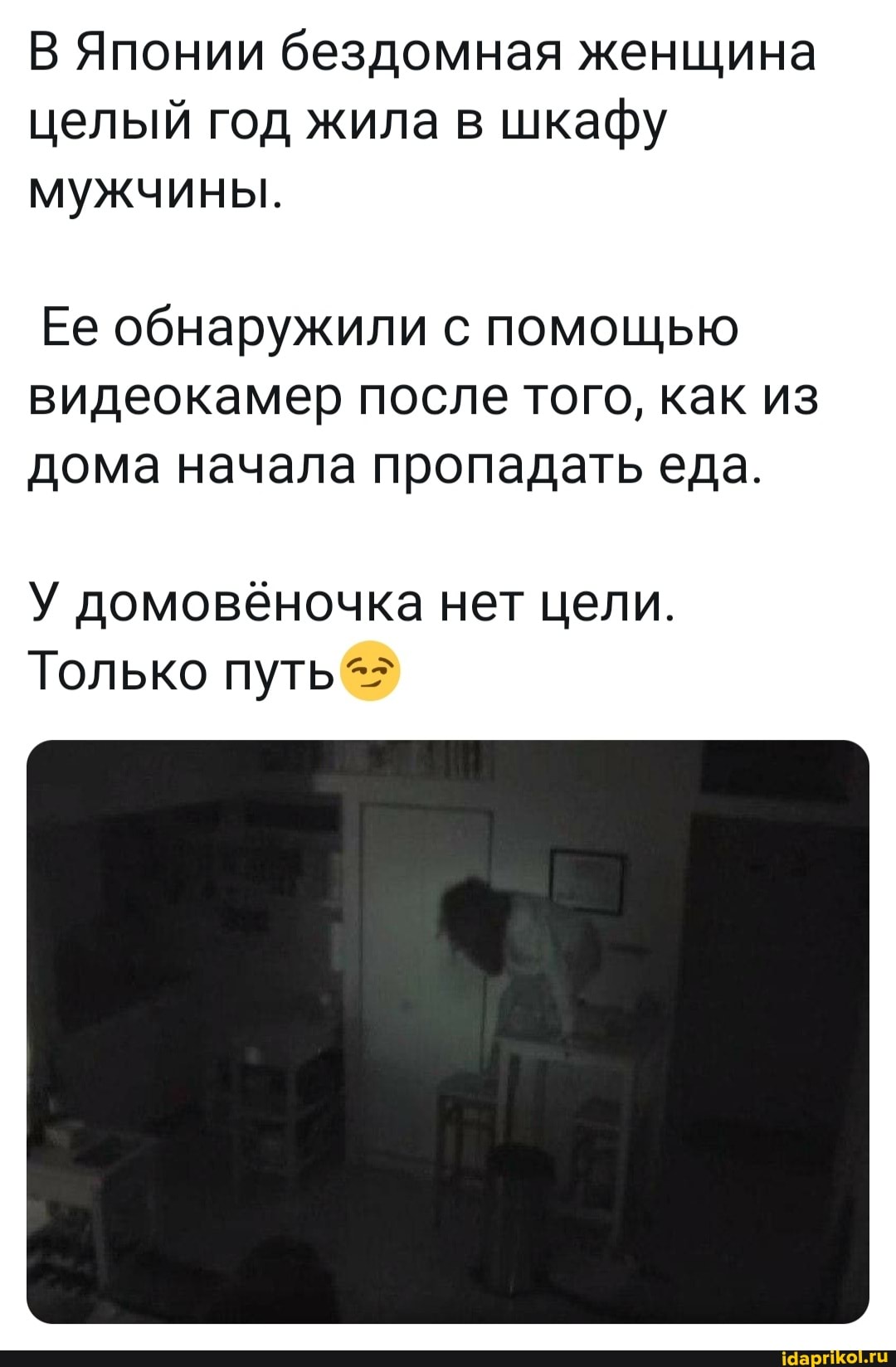В Японии бездомная женщина целый год жила в шкафу мужчины.
Ее обнаружили с помощью видеокамер после того, как из дома начала пропадать еда.
У домовёночка нет цели.
Только путь