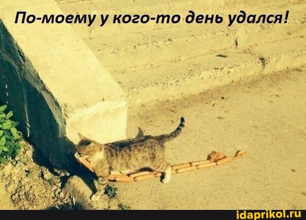 По-моему у кого-то день удался!