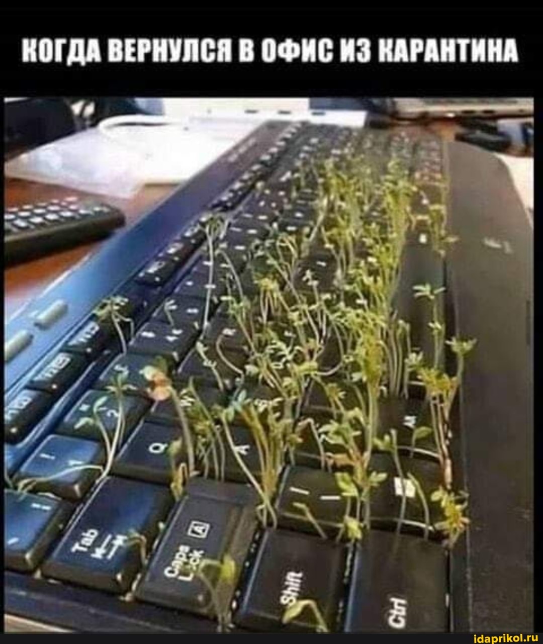 380d60a7c1b70c8f8b81e00015d55e507b1a813d