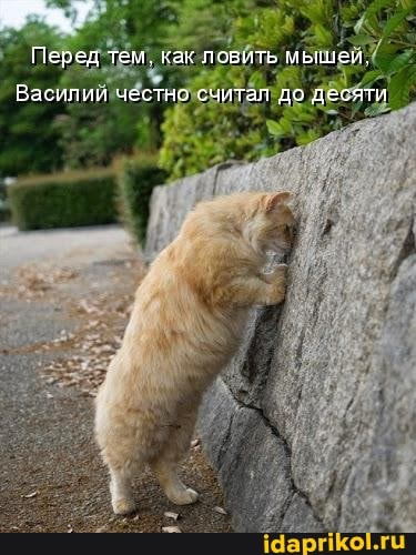 Перэд тем. как ЛоБИТЬ мышей.
Василии честно считая до десяти