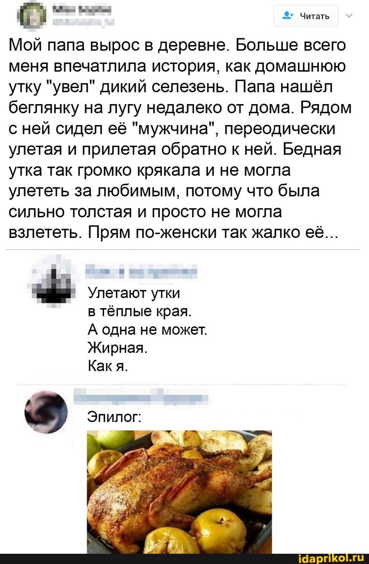 Читать
Мой папа вырос в деревне. Больше всего меня впечатлила история, как домашнюю утку "увел" дикий селезень. Папа нашёл беглянку на лугу недалеко от дома. Рядом с ней сидел её "мужчина", переодически улетая и прилетая обратно к ней. Бедная утка так громко крякала и не могла улететь за любимым, потому что была сильно толстая и просто не могла взлететь. Прям по-женски так жалко её...
Улетают утки
в тёплые края.
А одна не может.
Жирная.
Как я.
Эпилог: