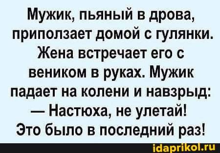 Мужик, пьяный в дрова, приползает домой с гулянки.
Жена встречает его с веником в руках. Мужик падает на колени и навзрыд:
- Настюха, не улетай!
Зта р поспаялний паз!