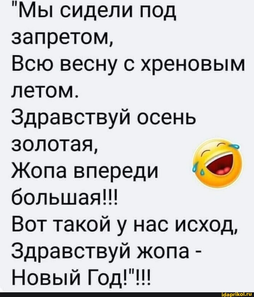 "Мы сидели под запретом,
Всю весну с хреновым летом.
Здравствуй осень золотая,
Жопа впереди большая!!!
Вот такой у нас исход,
Здравствуй жопа -
Новый Год!"!!