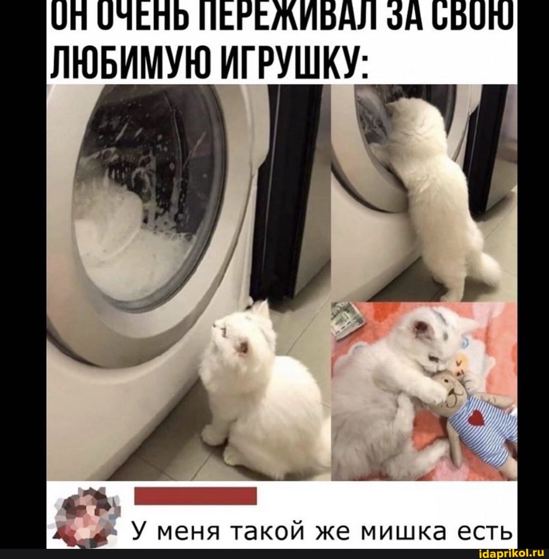 ОН ОЧЕНЬ ПЕРЕЖИБАЛ 650Ю ЛЮБИМУЮ ИГРУШКУ:
меня такой же мишка есть