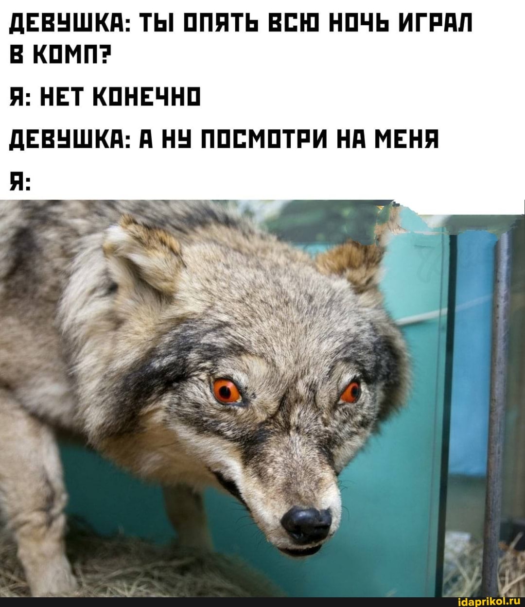 ДЕВУШКА: ТЫ ОПЯТЬ ВСЮ НОЧЬ ИГРАЛ В КОМП?
Я: НЕТ КОНЕЧНО ДЕВУШКА: А НУ ПОСМОТРИ НА МЕНЯ