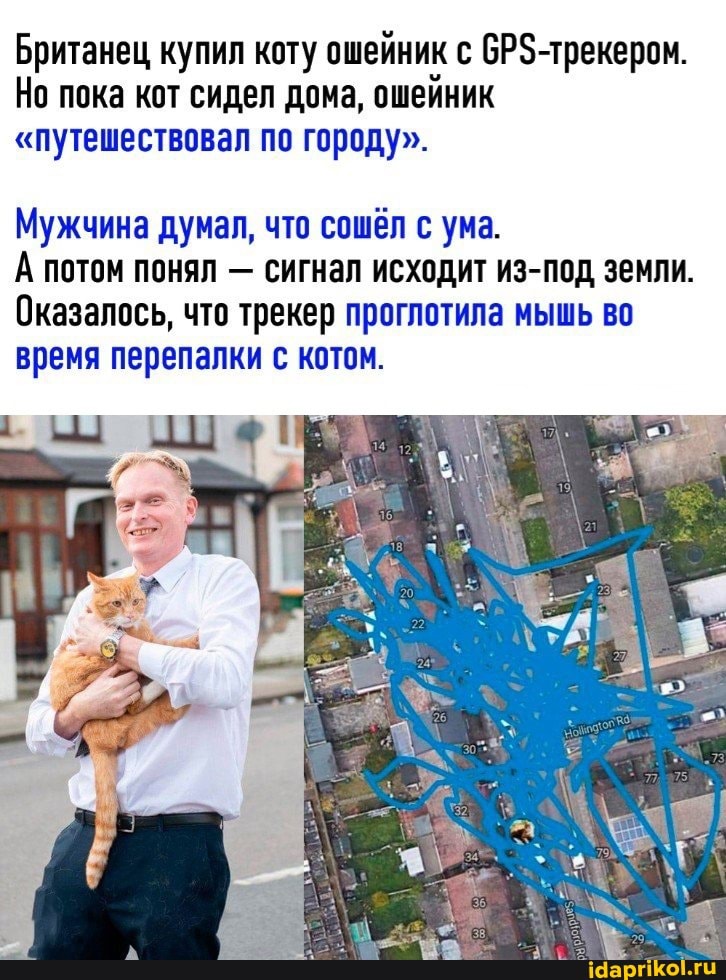 Британец купил коту ошейник с бР5-трекером.
Но пока кот сидел дома, ошейник
"путешествовал по городу".
Мужчина думал, что сошёл с ума.
А потом понял - сигнал исходит из-под земли.
Оказалось, что трекер проглотила мышь во время перепалки с котом.