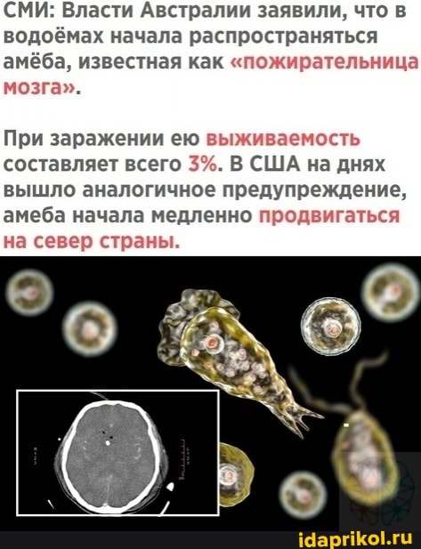 СМИ: Власти Австралии заявили, что в водоёмах начала распространяться амёба, известная как "пожирательница мозга".
При заражении ею выживаемость составляет всего 3%. В США на днях вышло аналогичное предупреждение, амеба начала медленно продвигаться на север страны.