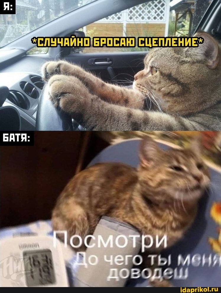 БАТЯ:
Посмотри