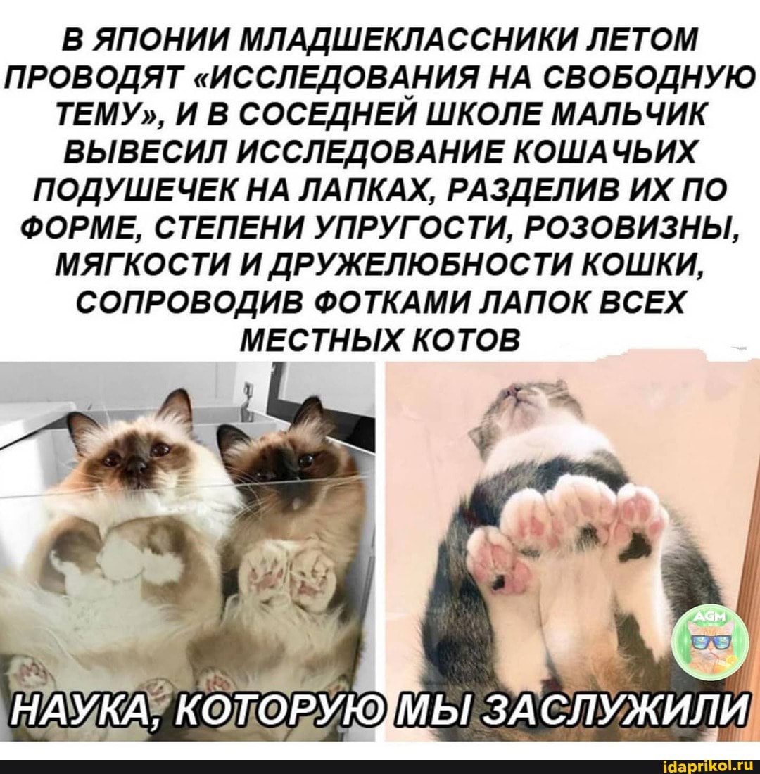 В ЯПОНИИ МЛАДШЕКЛАССНИКИ ЛЕТОМ ПРОВОДЯТ "ИССЛЕДОВАНИЯ НА СВОБОДНУЮ ТЕМУ", И В СОСЕДНЕЙ ШКОЛЕ МАЛЬЧИК ВЫВЕСИЛ ИССЛЕДОВАНИЕ КОШАЧЬИХ ПОДУШЕЧЕК НА ЛАПКАХ, РАЗДЕЛИВ ИХ ПО ФОРМЕ, СТЕПЕНИ УПРУГОСТИ, РОЗОВИЗНЫ,
МЯГКОСТИ И ДРУЖЕЛЮБНОСТИ КОШКИ,
СОПРОВОДИВ ФОТКАМИ ЛАПОК ВСЕХ МЕСТНЫХ КОТОВ
НАУКА, КОТОРУЮ. МЫ ЗАСЛУЖИЛИ
