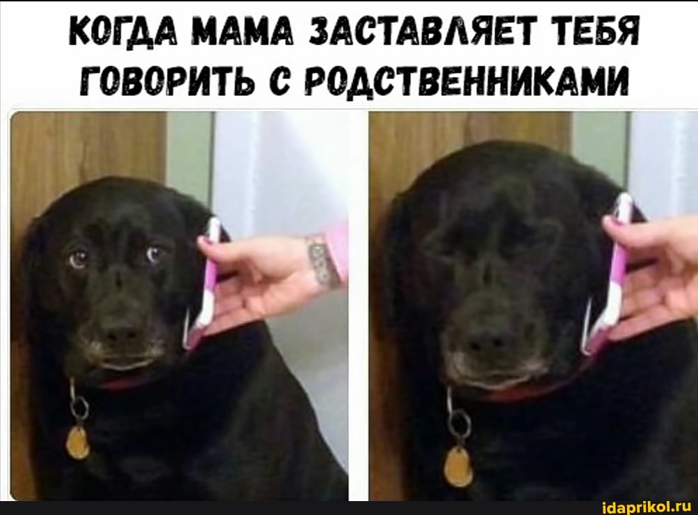 КОГДА МАМА ЗАСТАВЛЯЕТ ТЕБЯ ГОВОРИТЬ РОДСТВЕННИКАМИ
ее