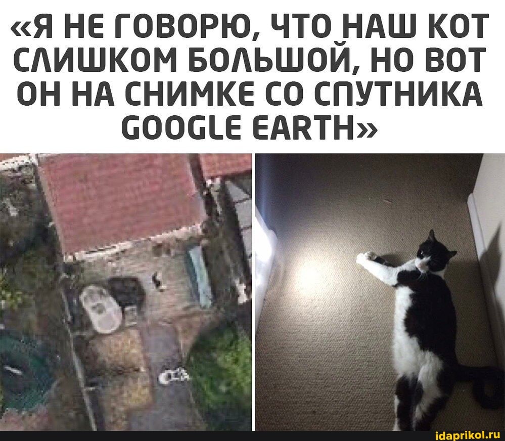 "Я НЕ ГОВОРЮ, ЧТО НАШ КОТ
СЛИШКОМ БОЛЬШОЙ, НО ВОТ ОН НА СНИМКЕ СО СПУТНИКА СООСЕЕ ЕАВТН"