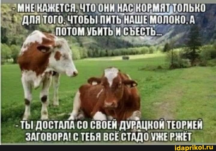 398227689f5713b7edc4f6de1aa12ebadbd152128a184ef9c1feb22f9e69c14b_1.jpg