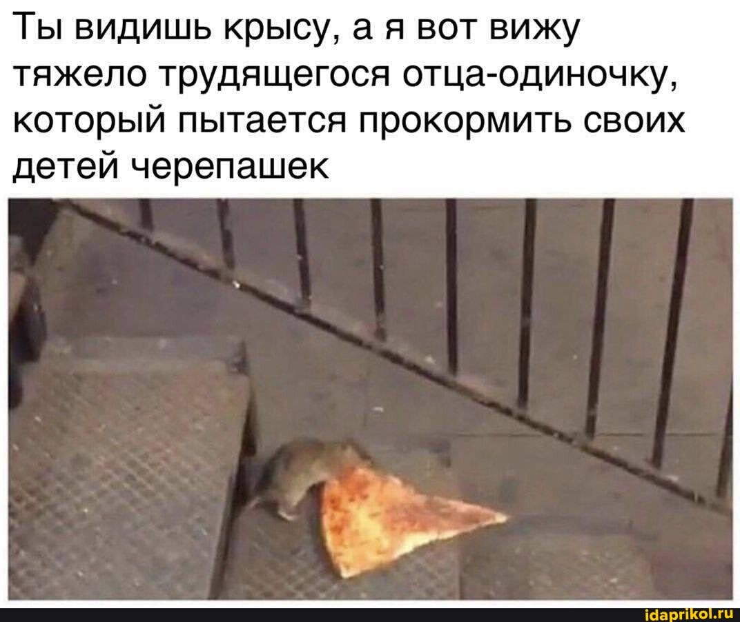 Ты видишь крысу, а я вот вижу тяжело трудящегося отца-одиночку,
который пытается прокормить своих детей черепашек