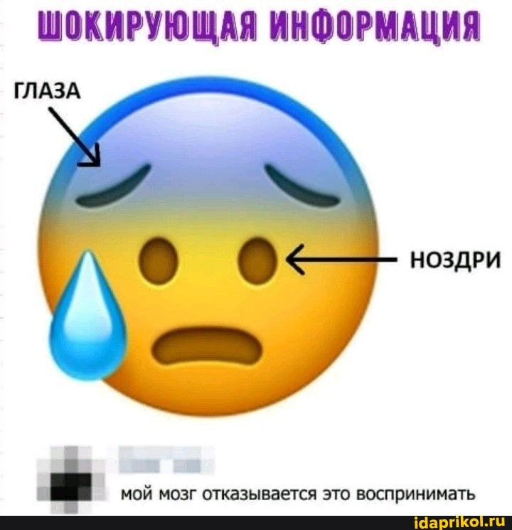 ШОКИРУЮЩАЯ ИНФОРМАЦИЯ
ГЛАЗА
НОЗДРИ
мой мозг отказывается это воспринимать