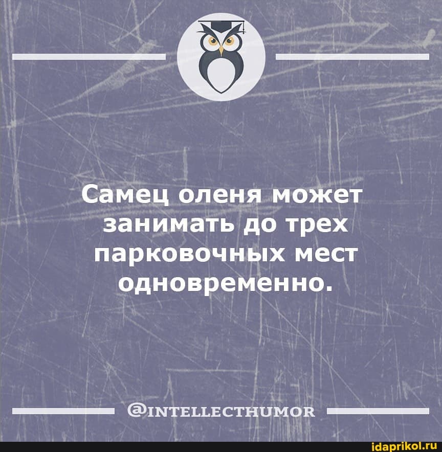 Самец оленя может занимать до трех парковочных мест одновременно.
(@ТМТЕТТЕСТНОМОВ