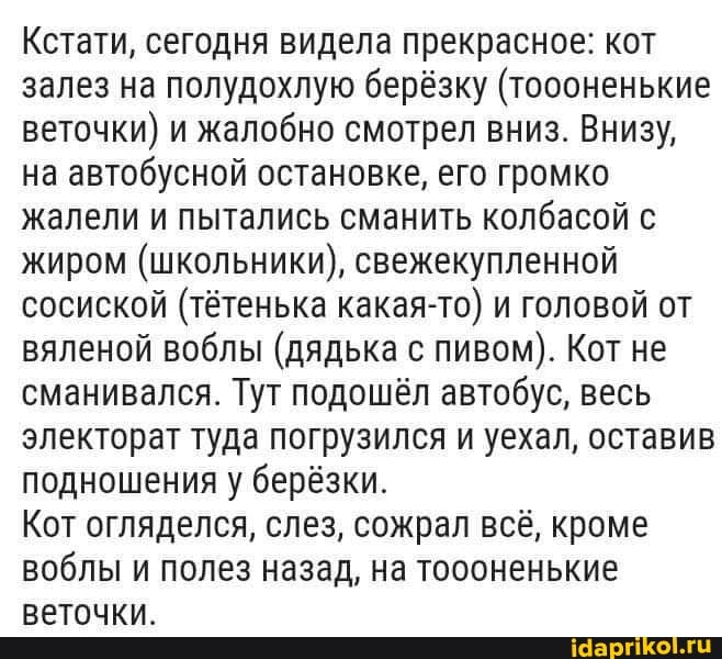 Кстати, сегодня видела прекрасное: кот залез на полудохлую берёзку (тоооненькие веточки) и жалобно смотрел вниз. Внизу, на автобусной остановке, его громко жалели и пытались сманить колбасой с жиром (школьники), свежекупленной сосиской (тётенька какая-то) и головой от вяленой воблы (дядька с пивом). Кот не сманивался. Тут подошёл автобус, весь электорат туда погрузился и уехал, оставив подношения у берёзки.
Кот огляделся, слез, сожрал всё, кроме воблы и полез назад, на тоооненькие веточки.