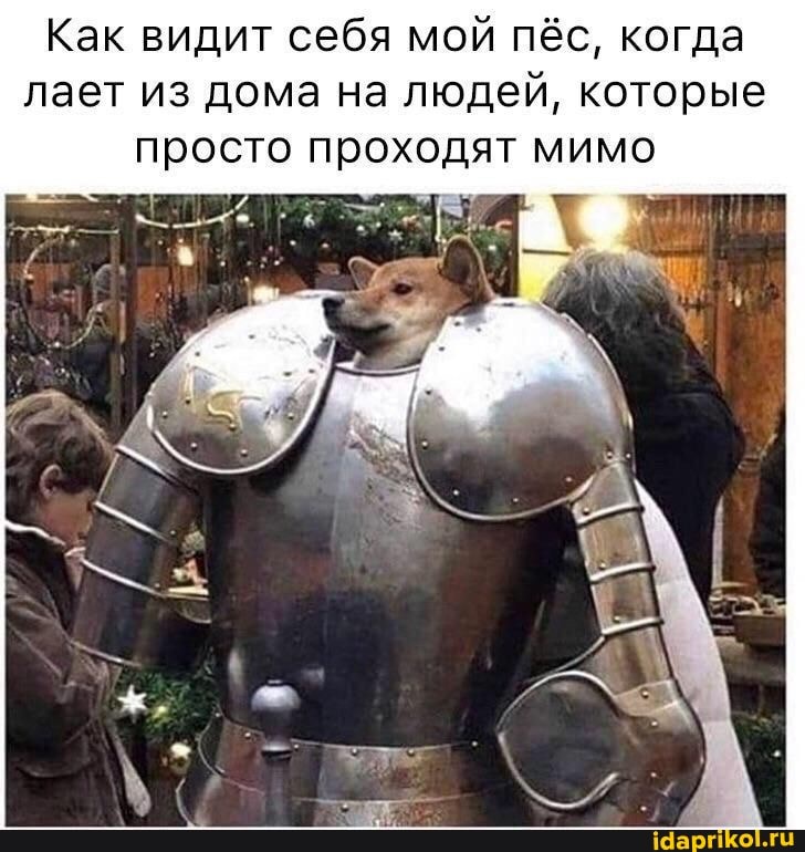 Как видит себя мой пёс, когда лает из дома на людей, которые просто проходят мимо