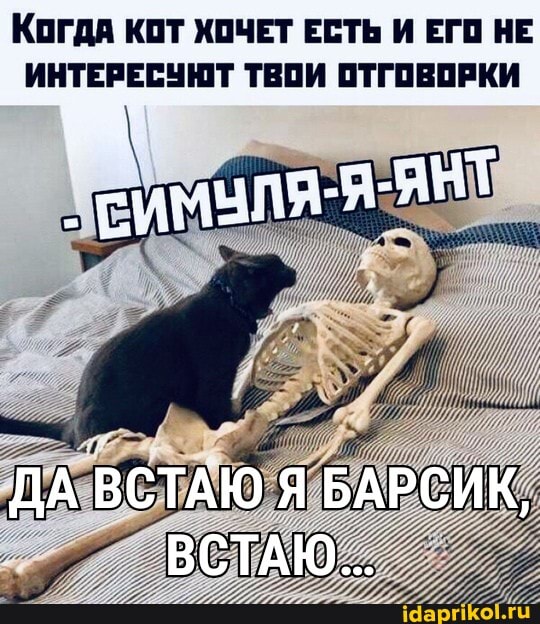 Когда КОТ ХОЧЕТ ЕСТЬ И ЕГО НЕ
ИНТЕРЕСУЮТ ТВОИ ОТГОВОРКИ