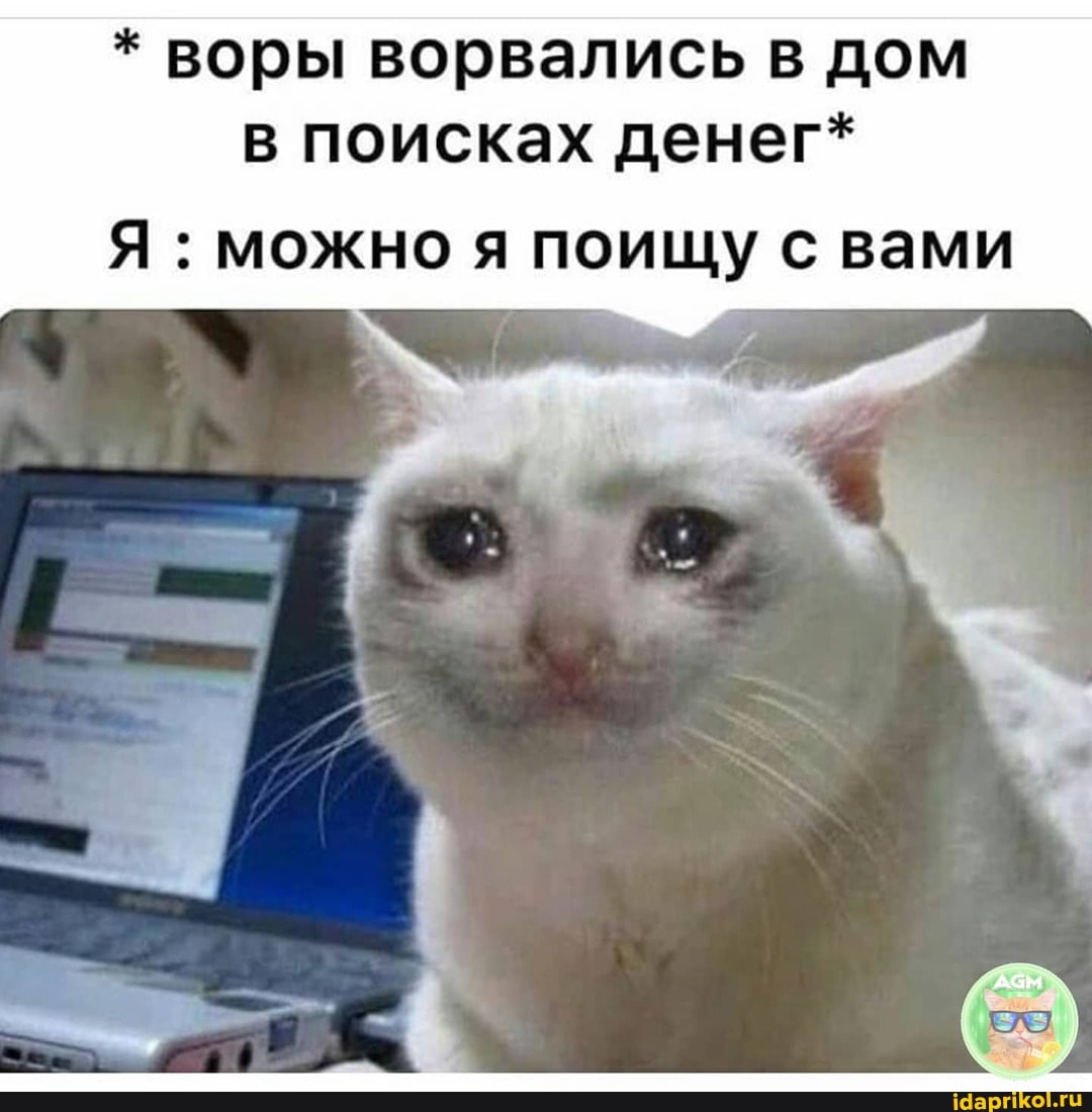 * воры ворвались в дом в поисках денег*
Я : можно я поищу с вами