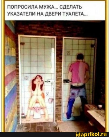 ПОПРОСИЛА МУЖА... СДЕЛАТЬ УКАЗАТЕЛИ НА ДВЕРИ ТУАЛЕТА.