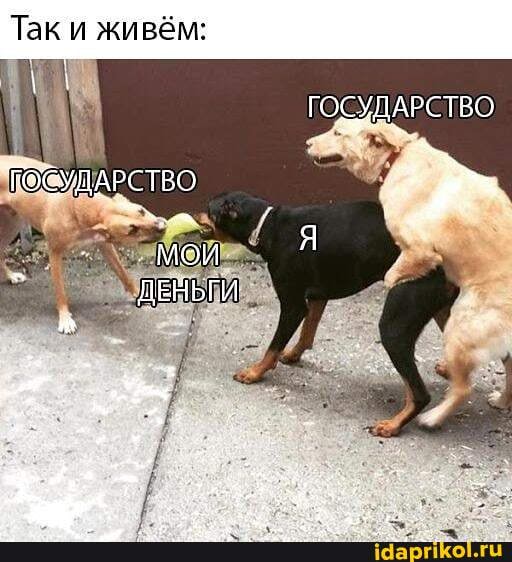 Так и живём:
ГОСУДАРСТВО