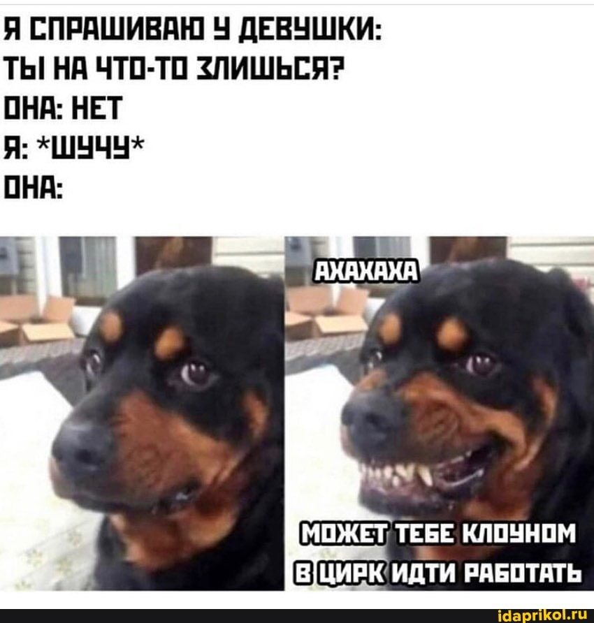 СПРАШИВАЮ ДЕВУШКИ:
ТЫ НА ЧТО-ТО ЗЛИШЬСЯ?
ОНА: НЕТ
Я: *ШУЧУ*
ОНА:
МОЖЕТ ТЕБЕ КЛОУНОМ ИДТИ РАБОТАТЬ