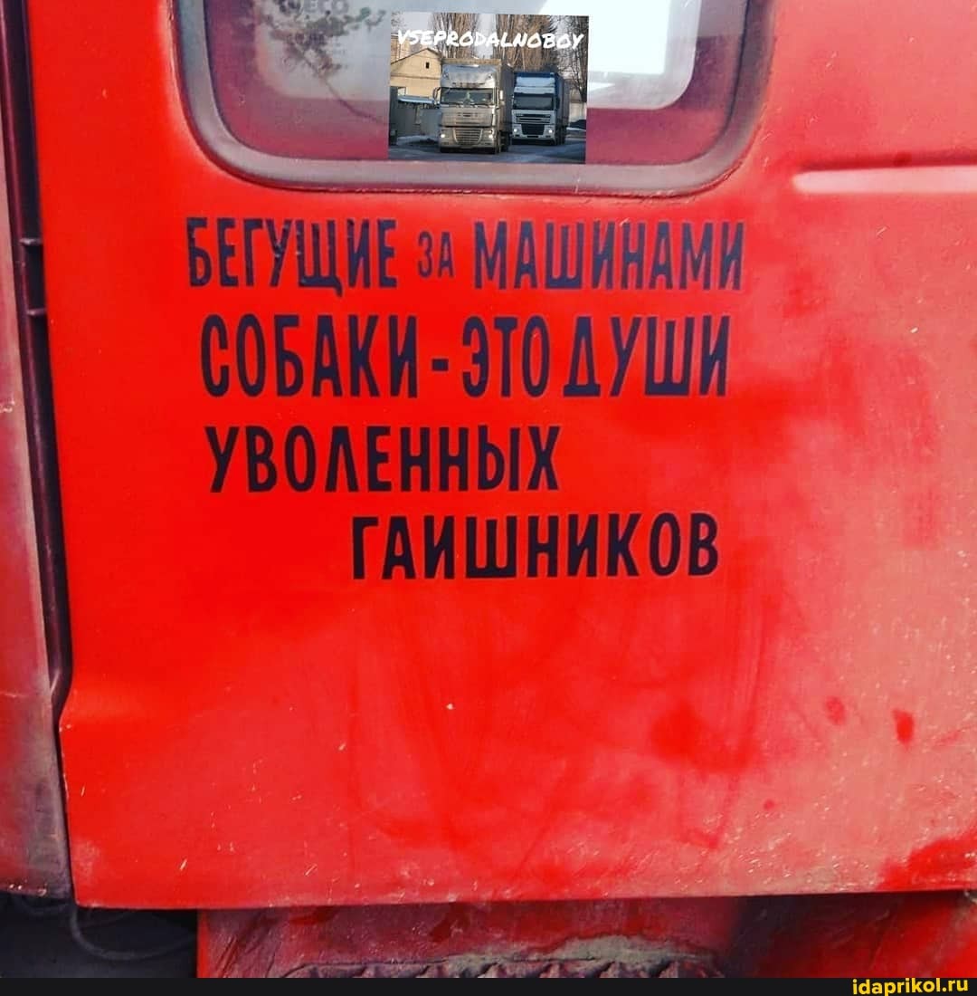 СОБАКИ- ЭТОДУШИ
УВОЛЕННЫХ ГАИШНИКОВ