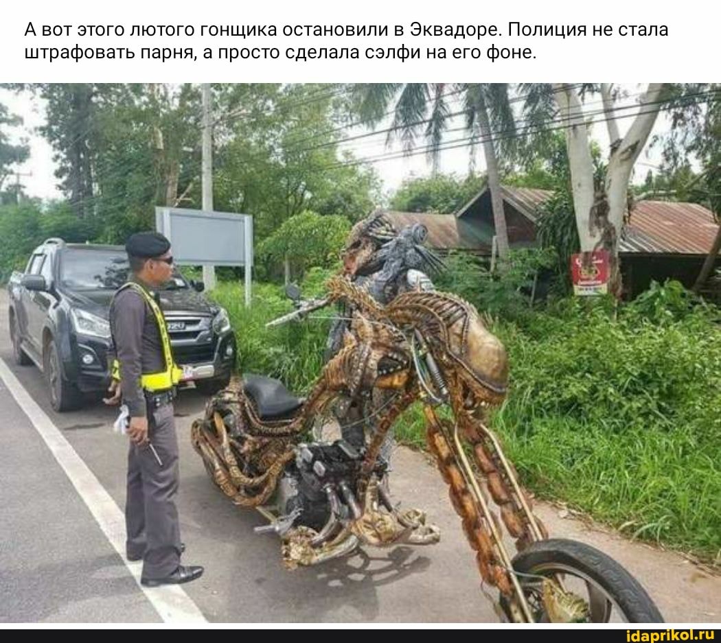 А вот этого лютого гонщика остановили в Эквадоре. Полиция не стала штрафовать парня, а просто сделала сэлфи на его фоне.