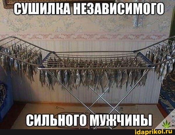 СУШИЛКА НЕЗАВИСИМОГО
СИЛЬНОГО МУЖЧИНЫ