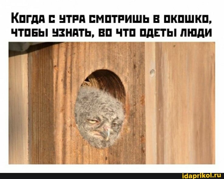 КогдА УТРА СМОТРИШЬ В ОКОШКО,
ЧТОБЫ УЗНАТЬ, ВО ЧТО ОДЕТЬ! ЛЮДИ