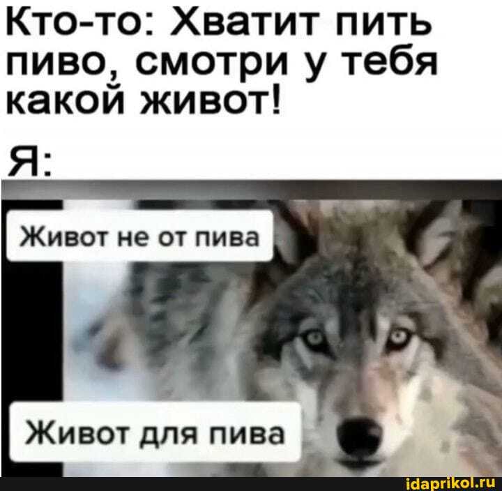 Кто-то: Хватит пить пиво, смотри у тебя какой живот!
Живот не от пива I,
Живот для пива