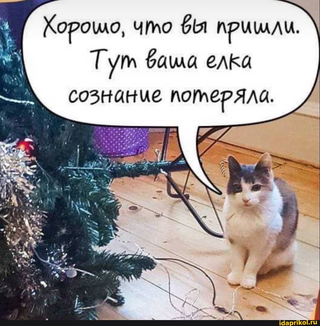 Корошо, что приилли.
Тут бала елка сознание потеряла.