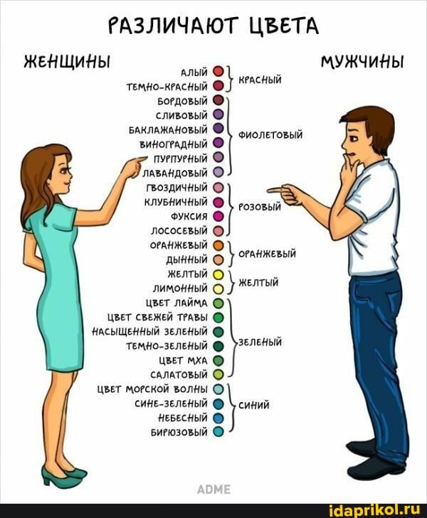 РАЗЛИЧАЮТ ЦВЕТА ЖЕНЩИНЫ
МУЖЧИНЫ
длый
КРАСНЫЙ ФИОЛЕТОВЫЙ ТЕМНО-КРАСНЫЙ воедовый @ сливовый
БАКЛАЖАНОВЫЙ ВИНОГРАДНЫЙ пуепуеный
`ЛАВАНДОВЫЙ гвоздичный
КЛУБНИЧНЫЙ ФУксия
ЛОСОСЕВЫЙ ОРАНЖЕВЫЙ ОРАНЖЕВЫЙ ЖЕЛТЫЙ дынный
ЖЕЛТЫЙ лимонный
ЦВЕТ ЛАЙМА ЦВЕТ СВЕЖЕЙ ТРАВЫ НАСЫЩЕННЫЙ ЗЕЛЕНЫЙ темно-зеленый ЗЕЛЕНЫЙ
ЦВЕТ мхА
САЛАТОВЫЙ
ЦВЕТ МОГСКОЙ ВОЛНЫ
СИНЕ-ЗЕЛЕНЫЙ синий
НЕБЕСНЫЙ
КРАСНЫЙ
ФИОЛЕТОВЫЙ
РоЗовЫЙ
ОРАНЖЕВЫЙ
) ЖЕЛТЫЙ