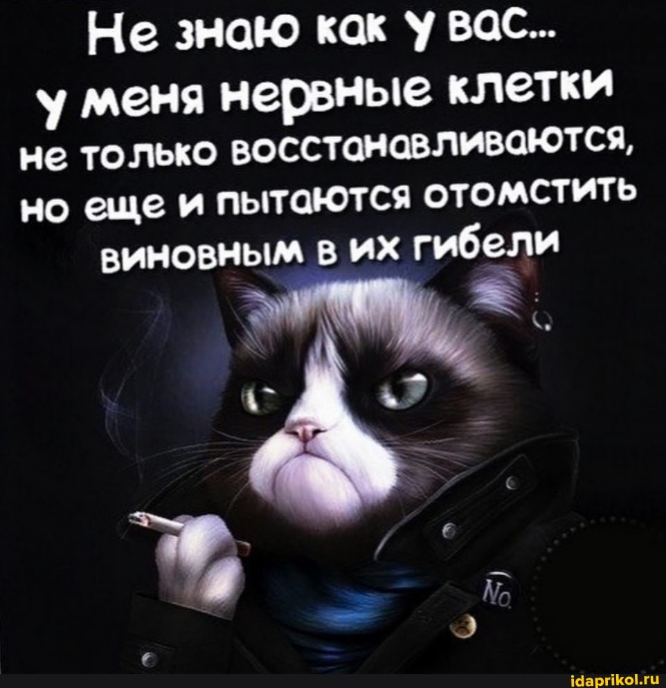 Не знаю как У ваС...
меня нервные клетки не только восстанавливаются, но еще и пытаются отомстить
виновным в их гибели