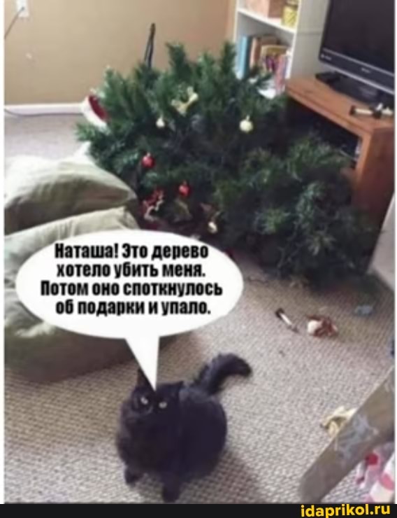 Наташа! Это дерево
хотело убить меня.
Потом оно споткнулось подарки и упало.