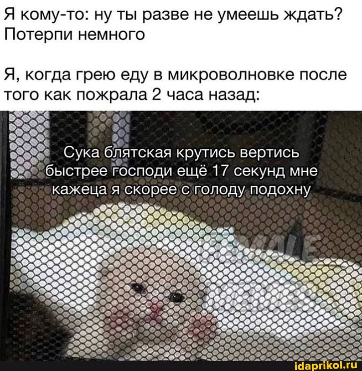 Я кому-то: ну ты разве не умеешь ждать?
Потерпи немного
Я, когда грею еду в микроволновке после того как пожрала 2 часа назад:
Сука блятская крутись вертись быстрее Господи ещё 17 секунд мне
кажеца я скорее голоду подохну