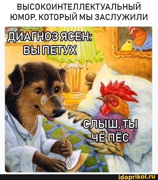ВЫСОКОИНТЕЛЛЕКТУАЛЬНЫЙ ЮМОР, КОТОРЫЙ МЫ ЗАСЛУЖИЛИ
ДИАГНОЗ ЯСЕН:
ТЬ
ЧЁ ПЁС