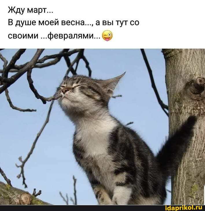 Жду март...
В душе моей весна..., а вы тут со
своими ...февралями...